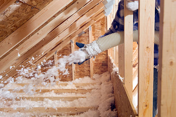 Best Radiant Barrier Insulation  in Beaverton, MI